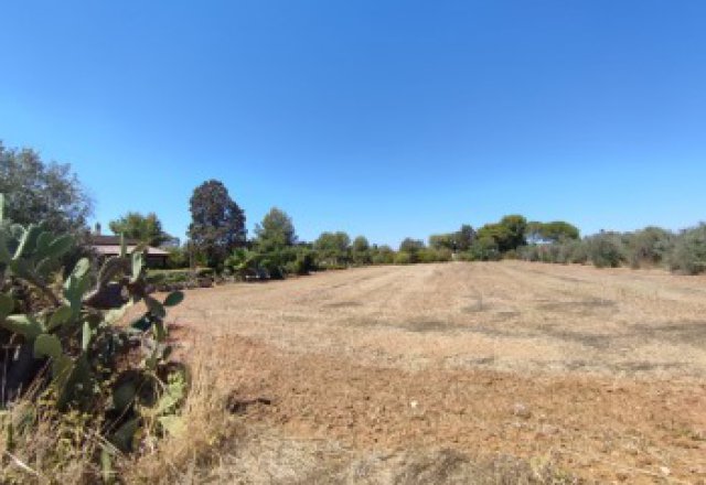 Land with ruins in Galatina