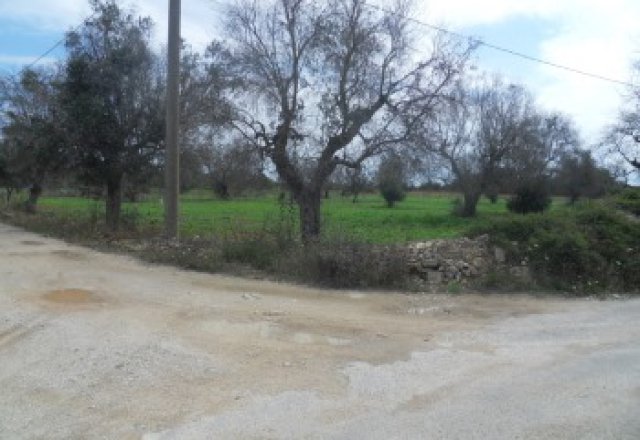 Galatone farmland in c. from Camascia