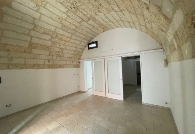 Renovated house with star vaults in Noha