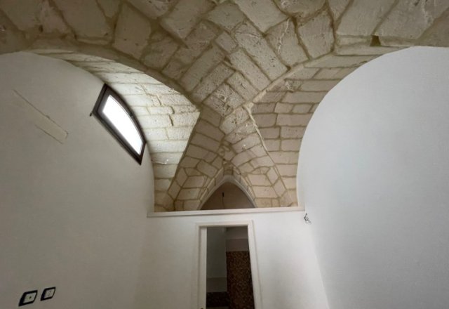 Renovated house with star vaults in Noha