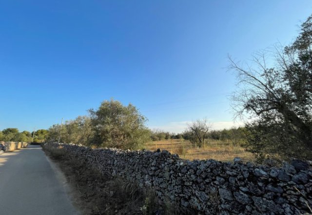 Land for sale in Contrada Spina