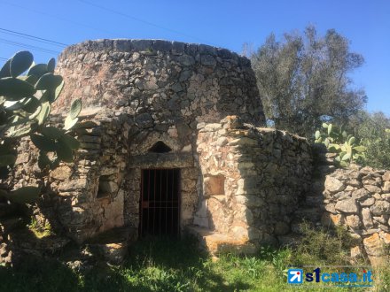Galatina, agricultural land of about 12,500 square meters with Trulli