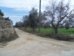 Galatone farmland in c. from Camascia - 2