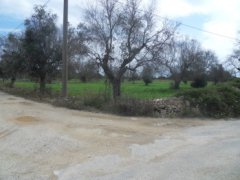 Galatone farmland in c. from Camascia - 4