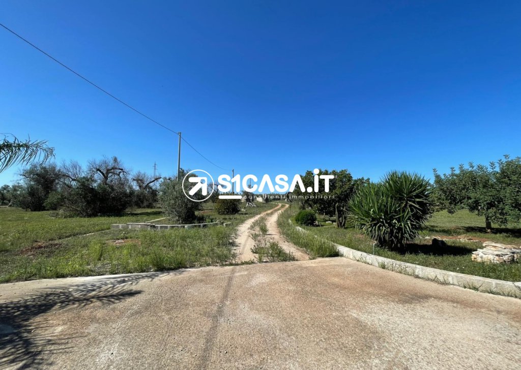 Sale Independent House Galatina - Detached house with land for sale in Galatina Locality 